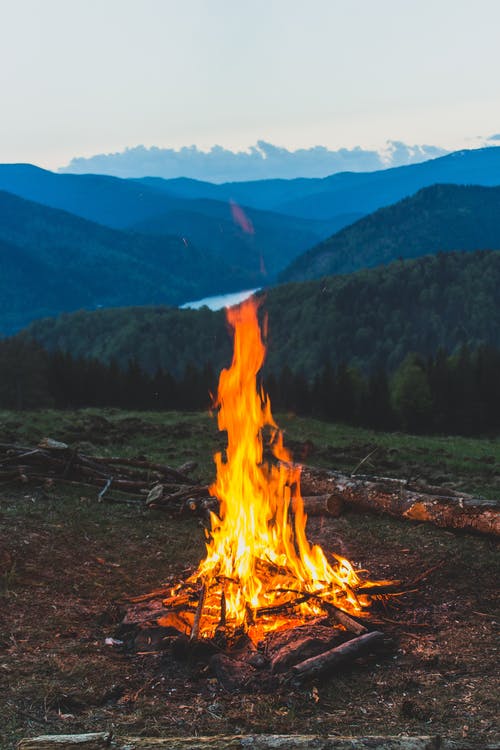 在黎明时草场附近的篝火 · 免费素材图片