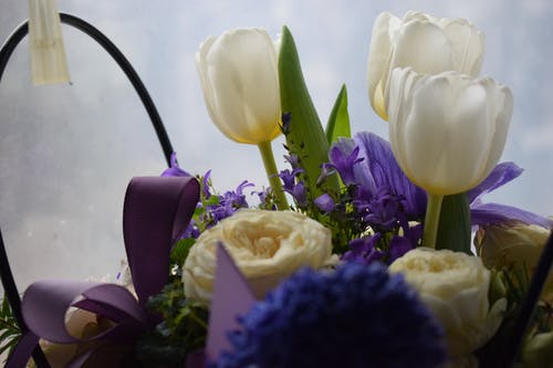 白色和紫色的花束 · 免费素材图片