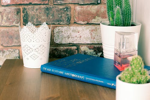 蓝皮书与花瓶棕色木制的桌子上 · 免费素材图片