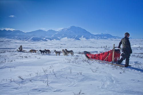 站在雪橇旁边的人 · 免费素材图片