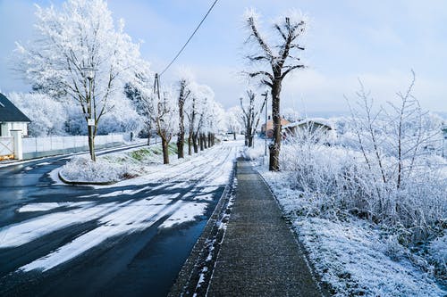 道路和树木覆盖着雪 · 免费素材图片