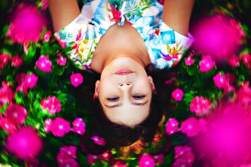 年轻女子躺在粉红色的花田 · 免费素材图片