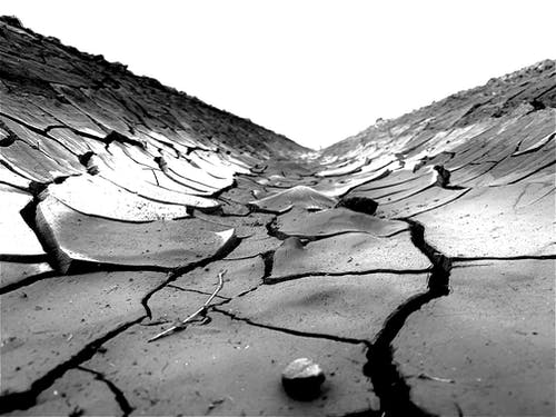 土壤裂缝的灰度照片 · 免费素材图片