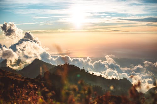 有关冒险, 冷静, 华丽的的免费素材图片