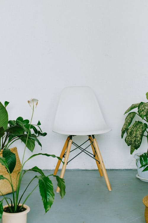 白色和棕色折叠椅旁边的盆栽植物 · 免费素材图片