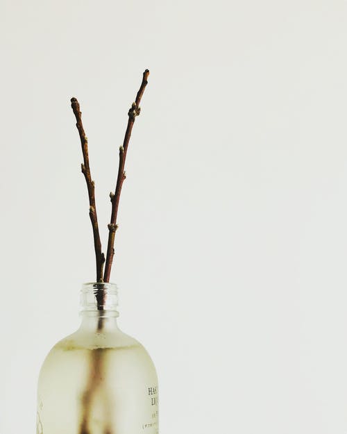棕色棍子在白色的玻璃瓶 · 免费素材图片