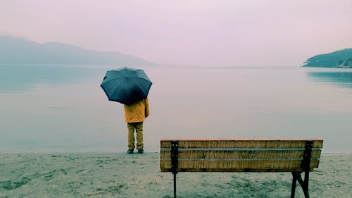 站在水和长凳附近的人 · 免费素材图片