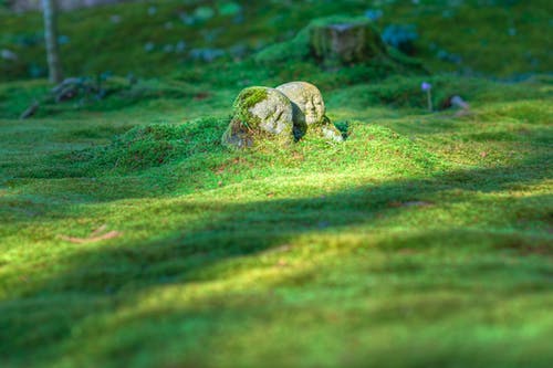 草地上的灰色岩层 · 免费素材图片