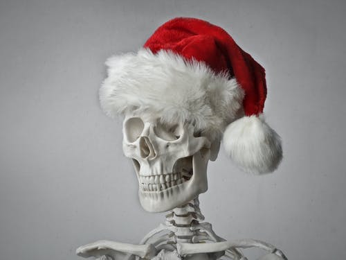 在圣诞老人的帽子上的骷髅的肖像照片 · 免费素材图片