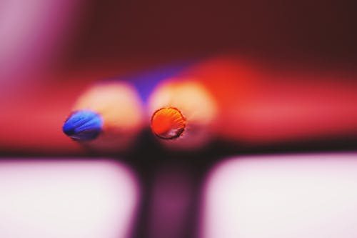 两种蓝色和红色彩色铅笔的选择性聚焦照片 · 免费素材图片