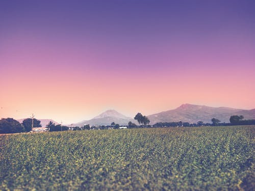 绿草地 · 免费素材图片