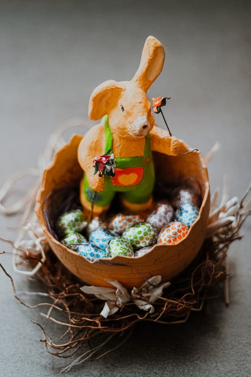 复活节兔子在树枝上的碗里的小鸡蛋 · 免费素材图片