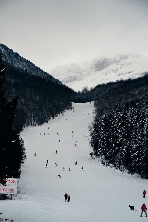 单板滑雪和滑雪景观 · 免费素材图片