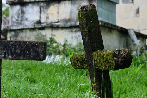 棕色十字架站在草地上 · 免费素材图片