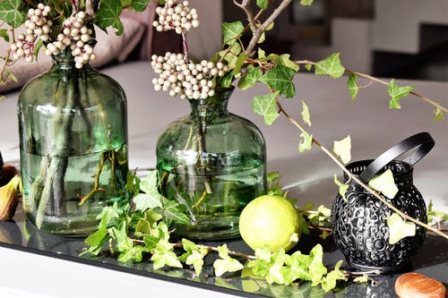 绿色透明玻璃花瓶中的绿色有叶植物 · 免费素材图片
