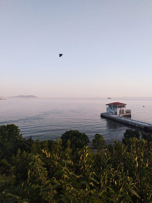 水体 · 免费素材图片