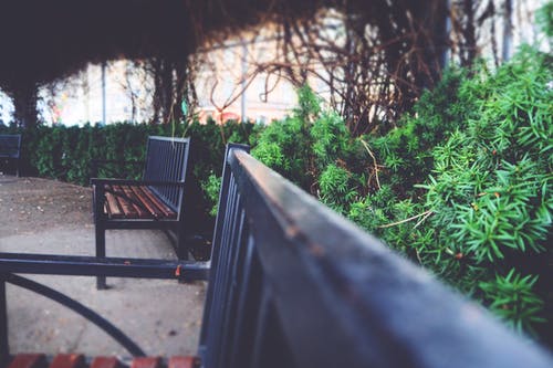 绿色植物附近的两个黑色金属扶手长凳 · 免费素材图片