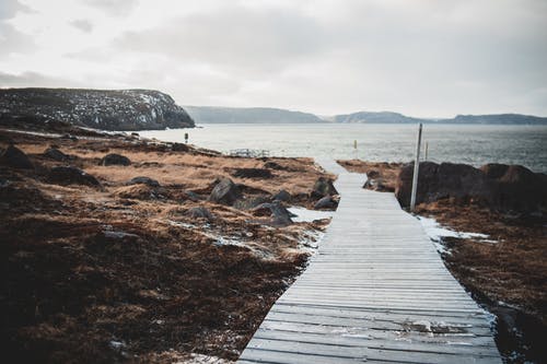 有关人行道, 冬季, 冷的免费素材图片