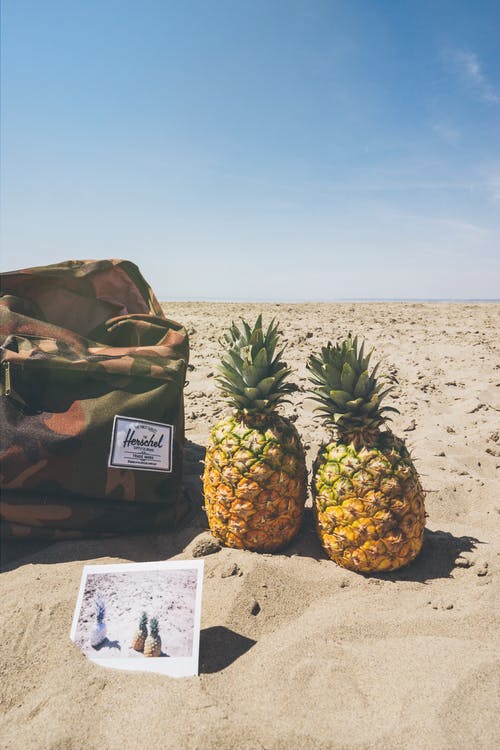 棕色场上两个菠萝果实旁边的绿色，黑色和棕色迷彩herschel背包 · 免费素材图片