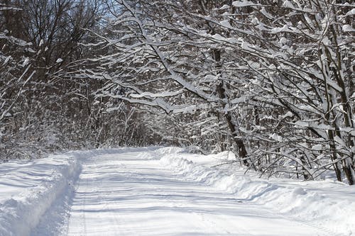 满雪的路 · 免费素材图片