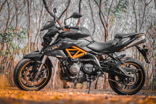 黑色摩托车停在森林里 · 免费素材图片