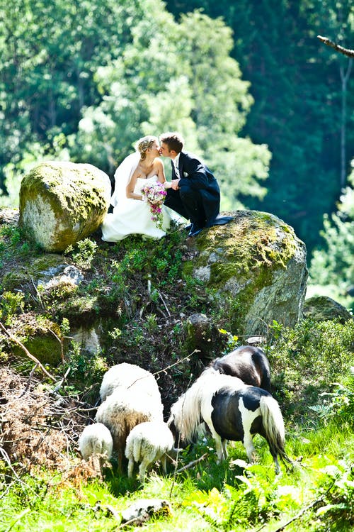 情侣接吻在山羊附近的岩石上 · 免费素材图片