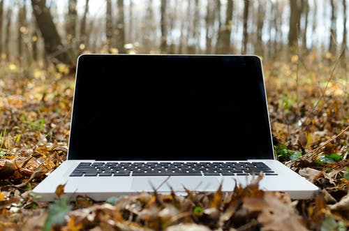银macbook Pro，枯叶上有黑屏 · 免费素材图片