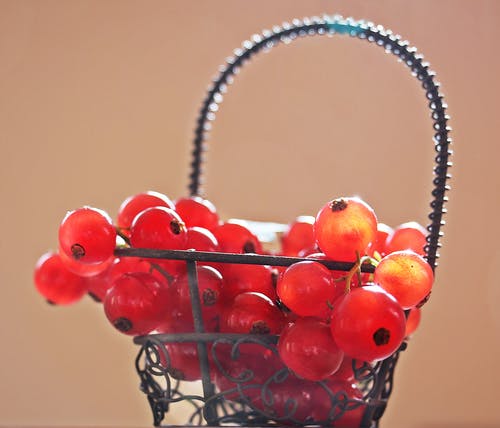 银色金属篮上的红樱桃照片 · 免费素材图片