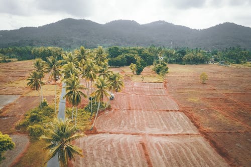 有关农艺学, 土, 土地的免费素材图片