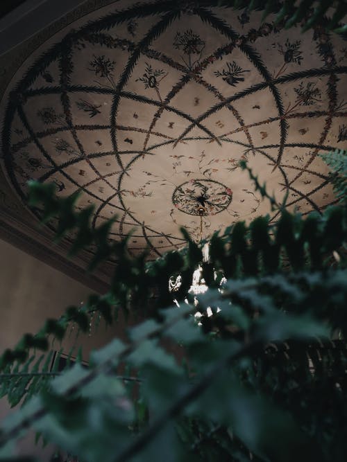 有关俄国, 优雅, 元素的免费素材图片