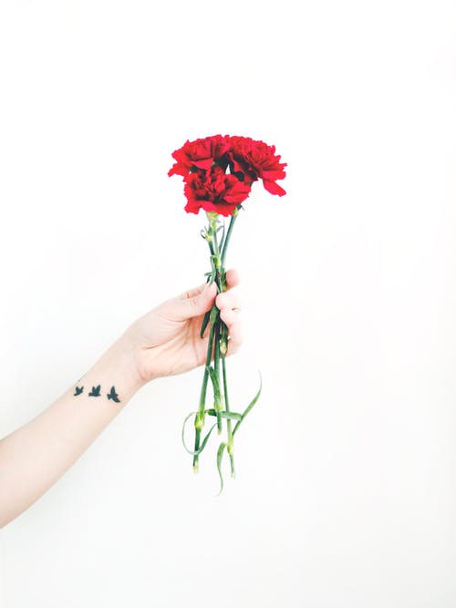 拿着红色康乃馨花束的人的照片 · 免费素材图片