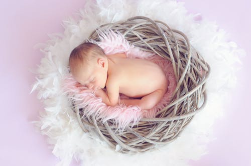 婴儿睡在篮子里，周围的篮子里的圆形羽毛 · 免费素材图片