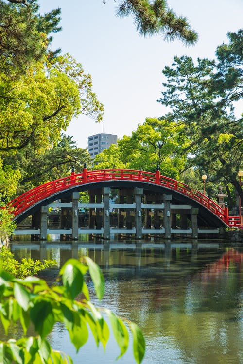 在城市公园绿树环绕的河上的拱形行人天桥 · 免费素材图片