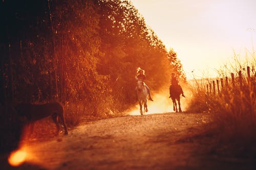 人们在日落时骑马 · 免费素材图片