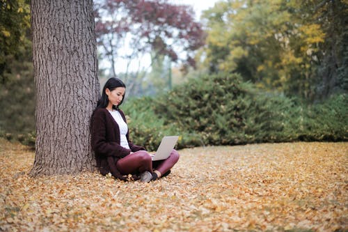 年轻女子在树下使用笔记本电脑 · 免费素材图片