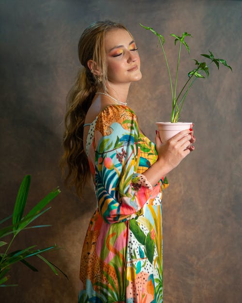 有关侧面图, 优雅, 光的免费素材图片