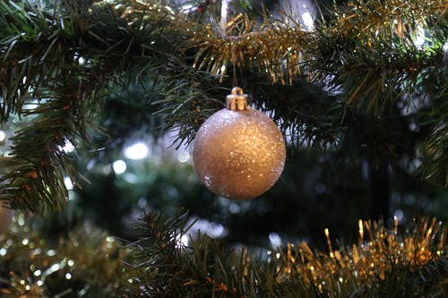 挂在绿色圣诞树上的棕色摆设 · 免费素材图片