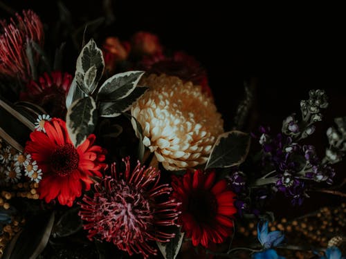 鲜花花束的特写照片 · 免费素材图片