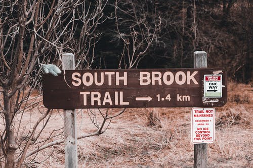 有关下落, 乾的, 健行的免费素材图片