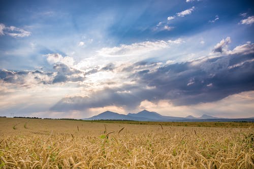 白天在蓝天下骑场 · 免费素材图片