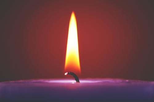 紫色蜡烛的选择性焦点 · 免费素材图片