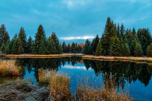 在森林里的湖全景 · 免费素材图片