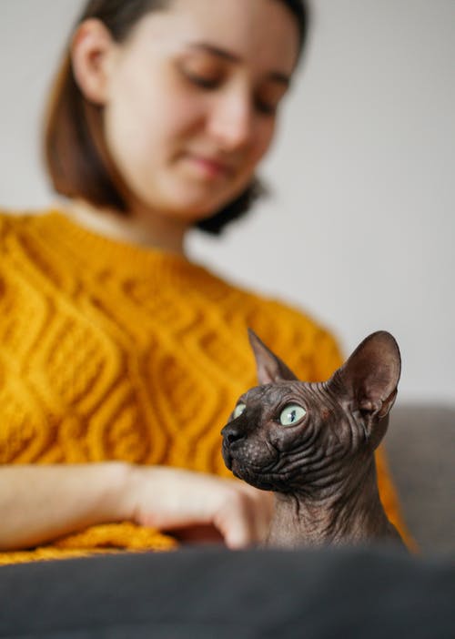 有关一起, 享受, 从下面的免费素材图片