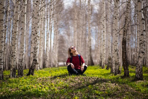 坐在棕色的树之间的女人 · 免费素材图片