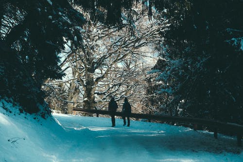 两人穿着黑大衣在雪覆盖的道路上行走 · 免费素材图片