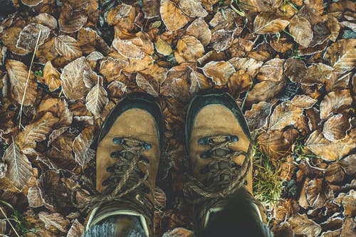 低断面的男人站在秋天的落叶 · 免费素材图片