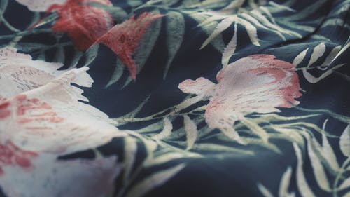 黑色白色和红色花卉纺织 · 免费素材图片