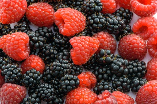 山莓 · 免费素材图片