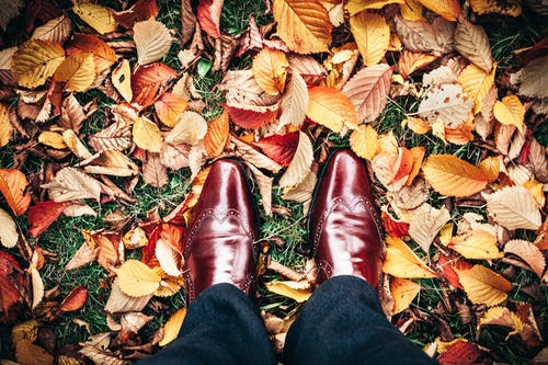 穿着棕色礼服鞋站在棕色的叶子上的人 · 免费素材图片