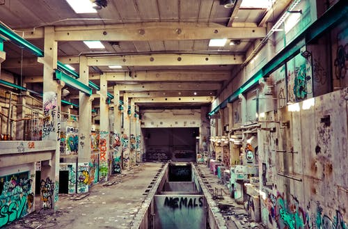 白墙上的涂鸦 · 免费素材图片